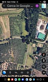 Terreno agricolo Oliveto 