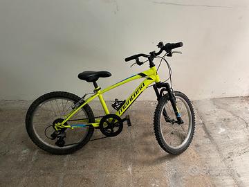 Bici Montana mod. Escape 20