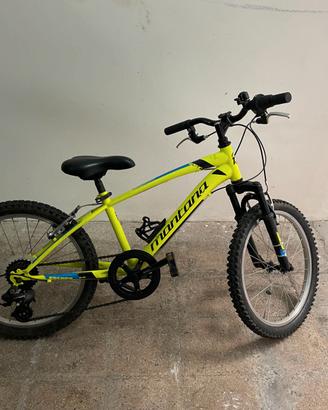 Bici Montana mod. Escape 20