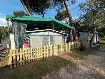 Veranda NOVA tg. 12 sviluppo 980 - 1000