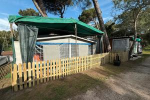 Veranda NOVA tg. 12 sviluppo 980 - 1000