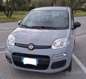 Fiat Panda III - 1.2 Easy s&s - grigio cemento