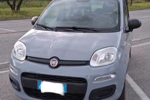 Fiat Panda III - 1.2 Easy s&s - grigio cemento