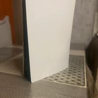 PS5  500 GB con disco