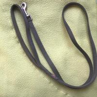 Guinzaglio per  cani