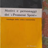 libro motivi e personaggi  dei promessi  sposi