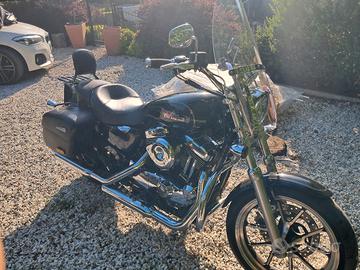 harley davidson 1200 t super low