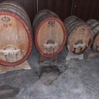 Botti per vino