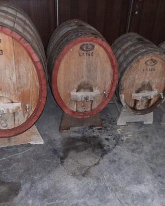 Botti per vino