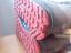 Immagine 6
