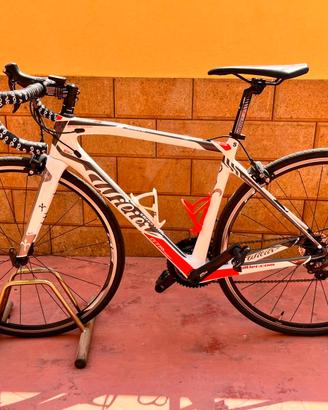 Bici da corsa  Wilier TGR triestina