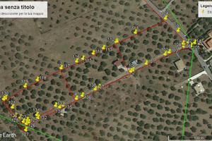 Terreno agricolo 5000 mq Altavilla Milicia