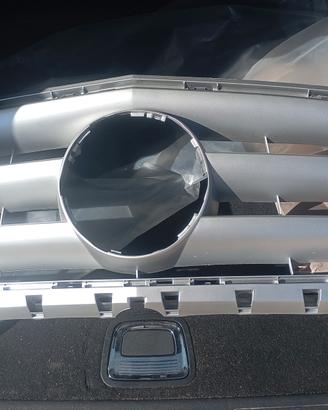griglia per auto 