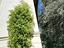Immagine 24