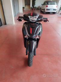 sh 125 anno 2019