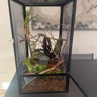 Teca in rete per rettili