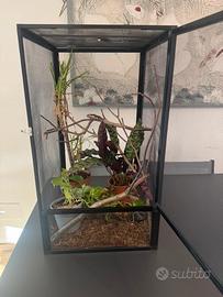 Teca in rete per rettili