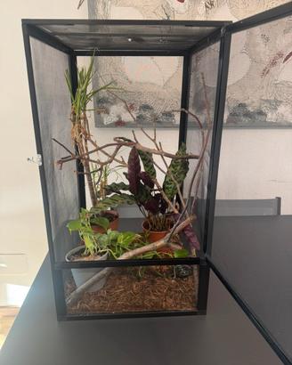 Teca in rete per rettili