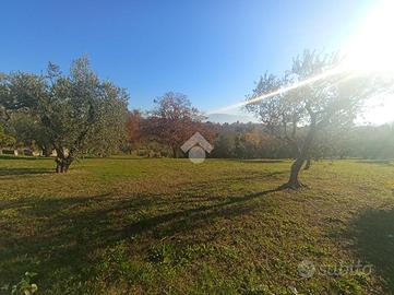 TER. RESIDENZIALE A LARIANO