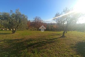 TER. RESIDENZIALE A LARIANO