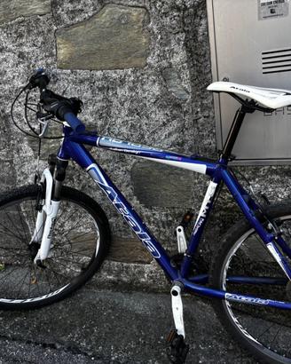 Bicicletta mtb uomo