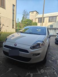 FIAT Punto modello Street
