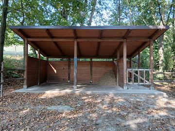 Capannina per cavalli in legno di abete (7,5x4 m)