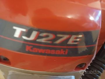 rasa siepi Kawasaki 