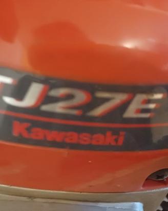 rasa siepi Kawasaki 