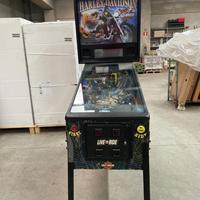 Flipper Harley Davidson