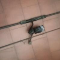 canna da pesca per spinning 