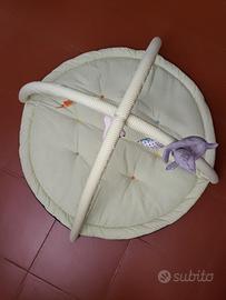 Palestrina neonato