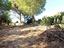 Immagine 6