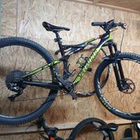 Mountainbike Specialized