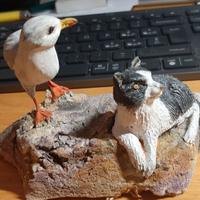 La gabbianella e il gatto