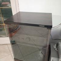 Mobile Hi-Fi Pioneer