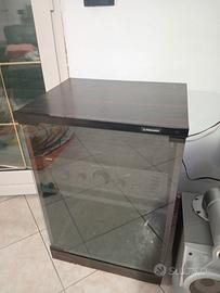 Mobile Hi-Fi Pioneer