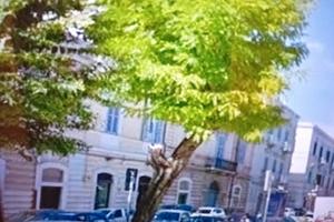 Appartamento adatto per coppia o per investimento