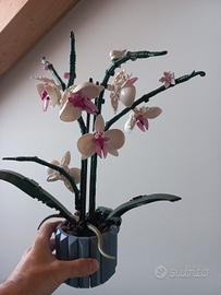 Lego botanics