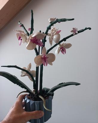Lego botanics