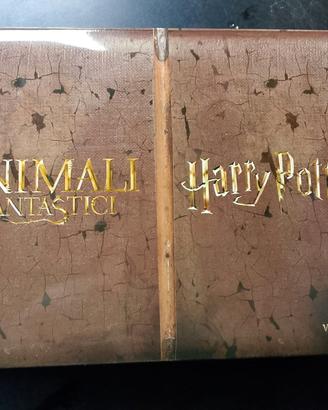 Collezione di Harry Potter e Animali Fantastici