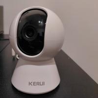 videocamera di sorveglianza 