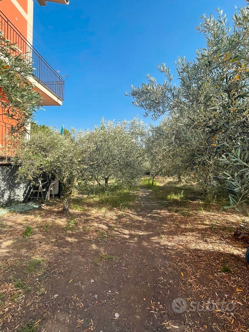Casa – Belpasso, Catania - Vista 4