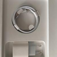 Caricabatteria e cavo apple