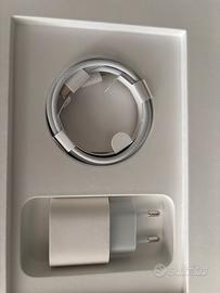 Caricabatteria e cavo apple