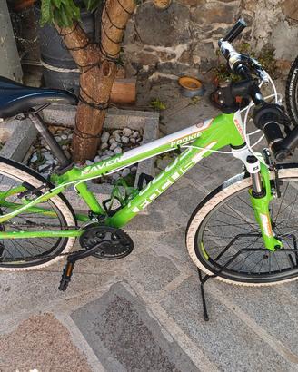 Mountain Bike Focus Raven Rookie 24 pollici
