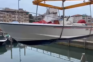 Boston Whaler 21