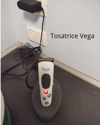 Tosatrice Vega\ tosatrice aesculap