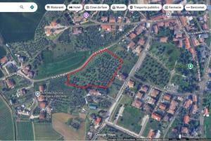 Oliveto a Coriano (RN)