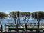 Immagine 21